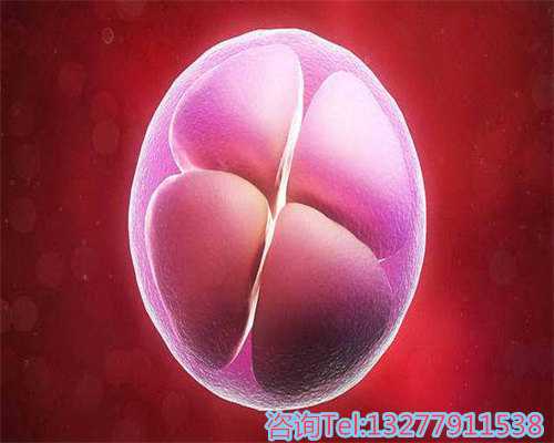 苏州哪里可以做代怀是否可以提供额外的帮助和支持