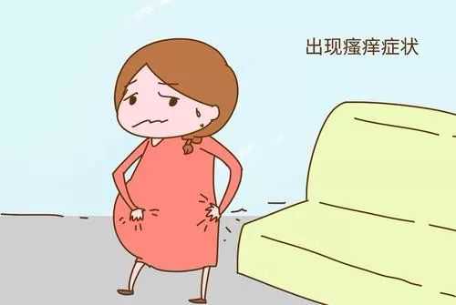 本人想找安徽个女孩代生,苏州平江路|姑苏景,江南诗 希望能为你的苏州之行