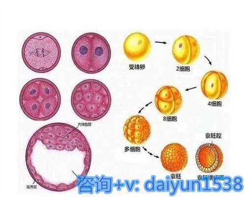 苏州供卵试管中心哪间权威,科技创造美满家庭