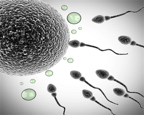 苏州助孕：第三代试管婴儿完整周期时间与高效流程解析