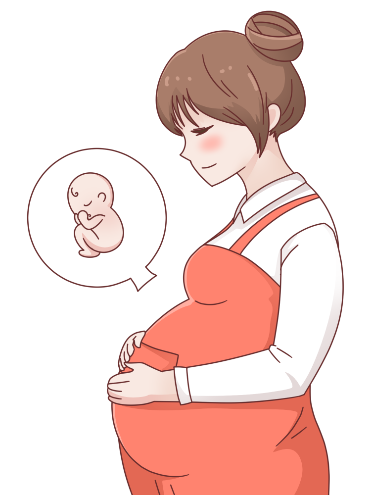 苏州试管助孕：揭秘试管婴儿性别选择的真相与费用考量