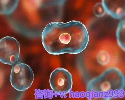 生育辅助技术解析：从保障福利到试管助孕全攻略