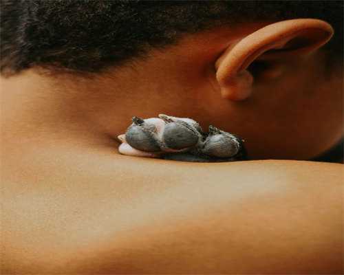 苏州代怀孕产子服务爱在代怀生子的过程中得以传递