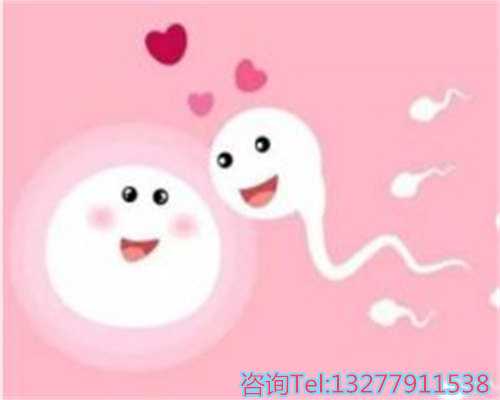 泰国辅助生殖：试管婴儿28天完整周期指南与成功攻略