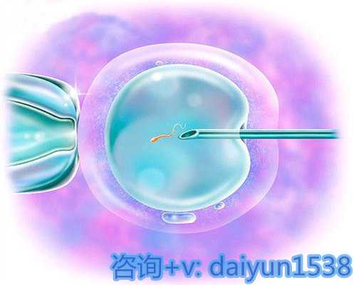 2026黑龙江省试管医院成功率排行榜，附生殖医院选择经验分享，黑龙江哪有供