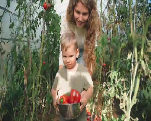 启赋奶粉3段如何冲调