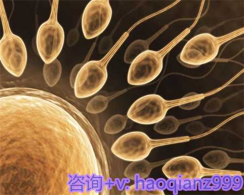 掌握四大要点，助你顺利排卵，两类食物助你轻松实现生育梦想