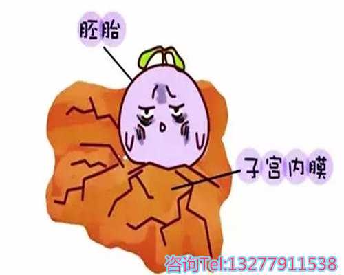 保胎灵胶囊与片剂：功效、区别及助孕选择指南