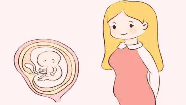 苏州哪个代生机构好让家庭梦想从此成真