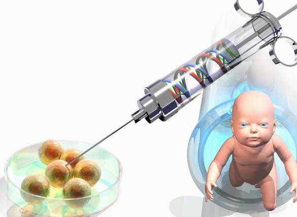 终极减重秘籍：一个月瘦20斤的实用计划指南